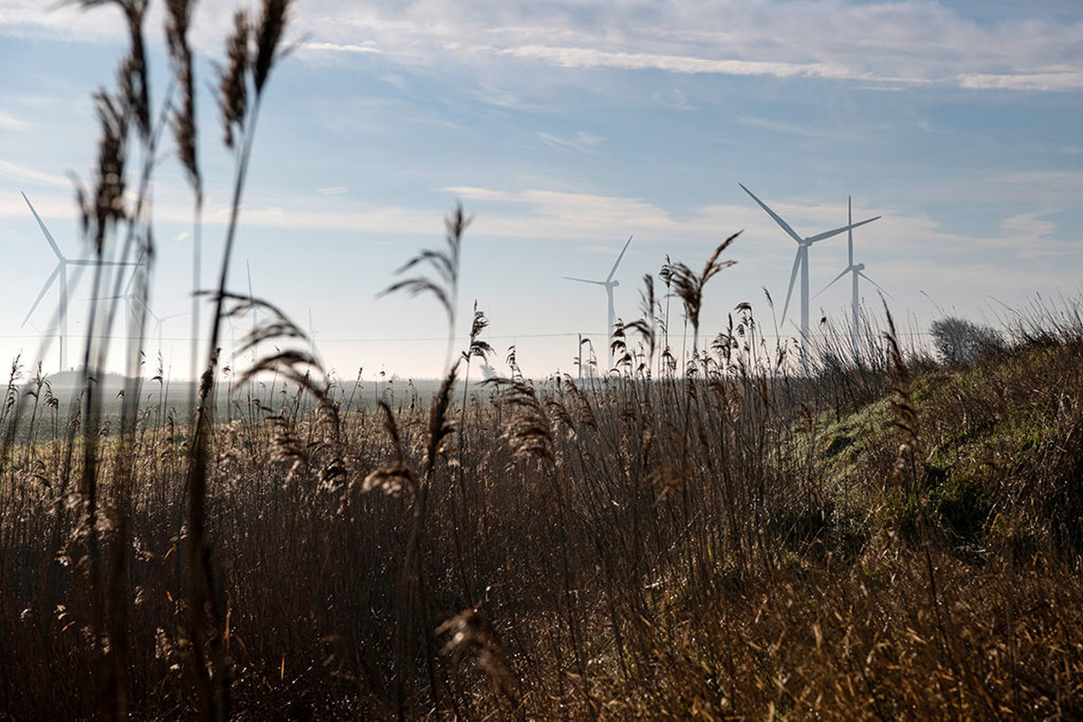 Wind farm landscape photography by Jason Dodd Photography